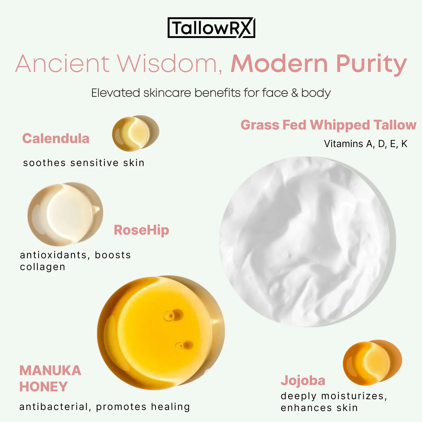 TallowRX ingredient breakdown highlighting skincare benefits of grass-fed tallow, manuka honey, jojoba, calendula, and rosehip oils