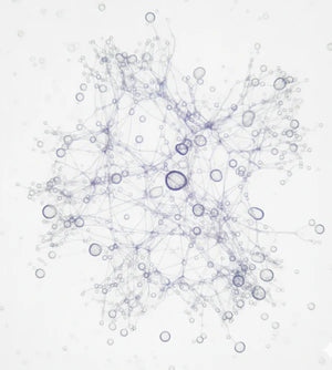 Hyaluronic Acid