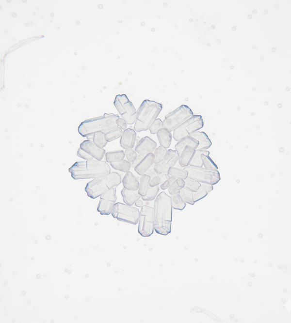 Arginine powder