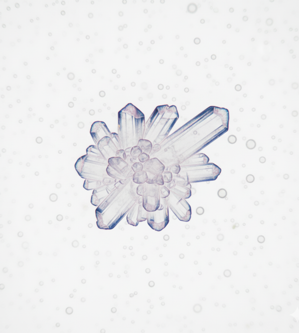 Citric acid