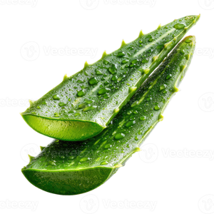 Organic Aloe Vera