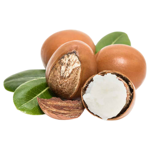 Organic Shea Butter